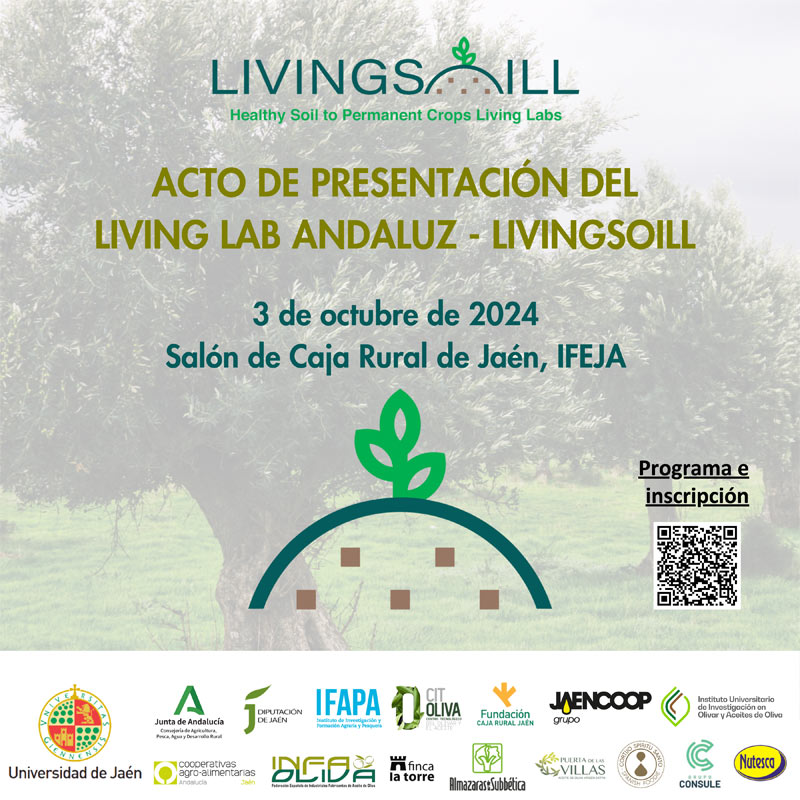 living lab andaluz suelo olivar